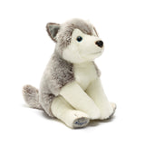 Kloppi Husky