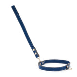 Blue Husky Dog Lead