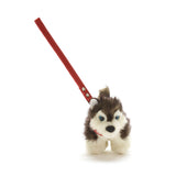 Small Kivi Husky with Red Collar and Lead