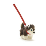 Small Kivi Husky with Red Collar and Lead