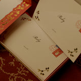 Letters from Lapland