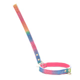 Rainbow Husky Dog Lead
