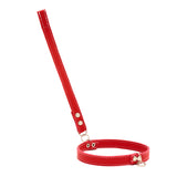 Red Husky Dog Lead