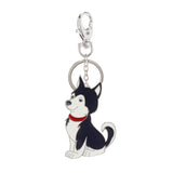 Kivi Keyring